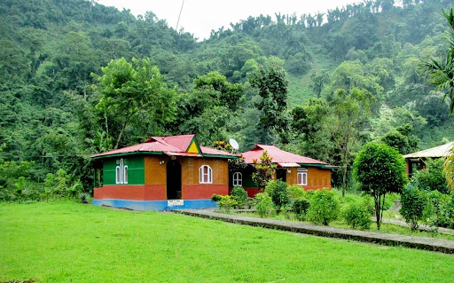 scenic view of Namdapha National Park